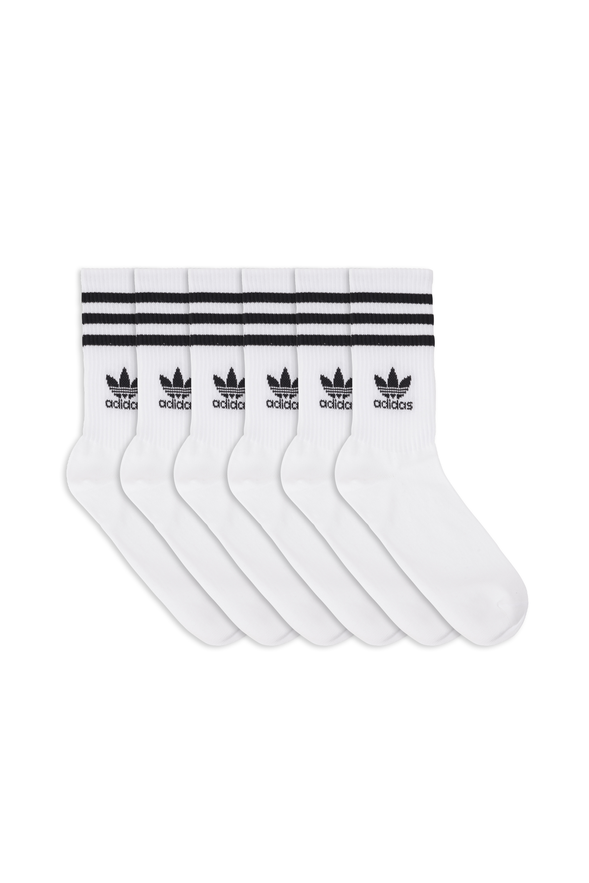 Lot de 6 paires de chaussettes Blanc