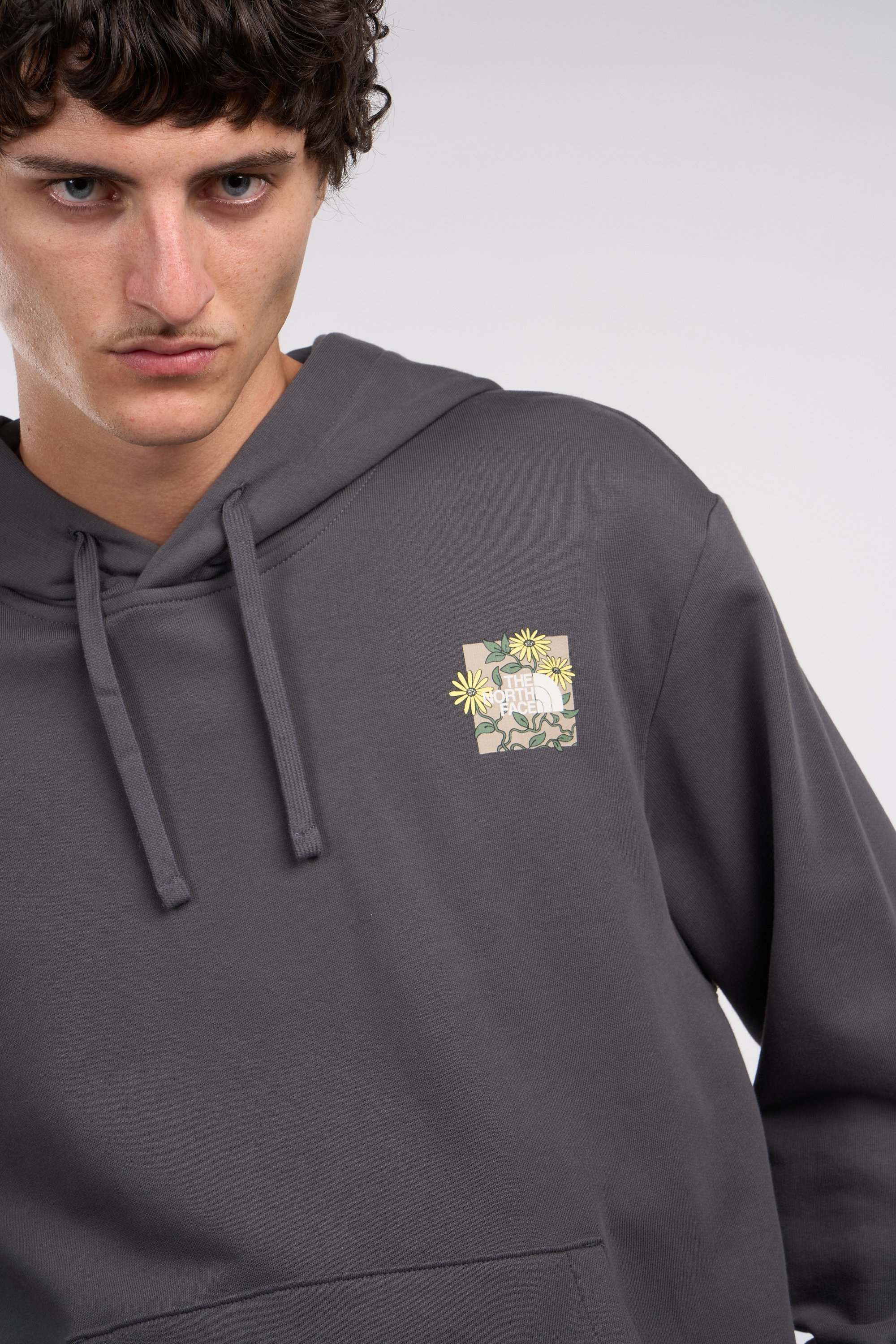 THE NORTH FACE Hoodie Gris