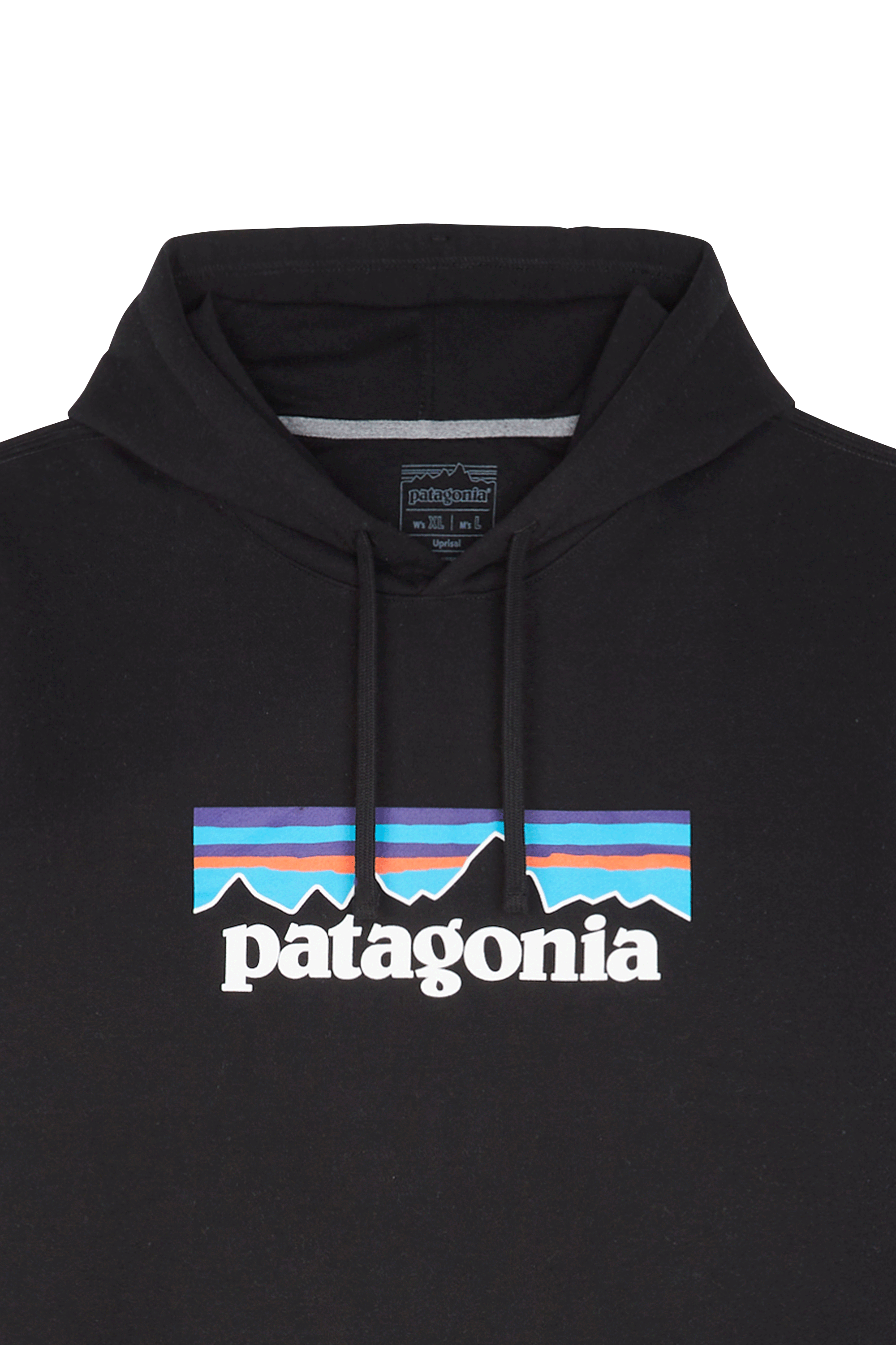 Hoodie PATAGONIA Black
