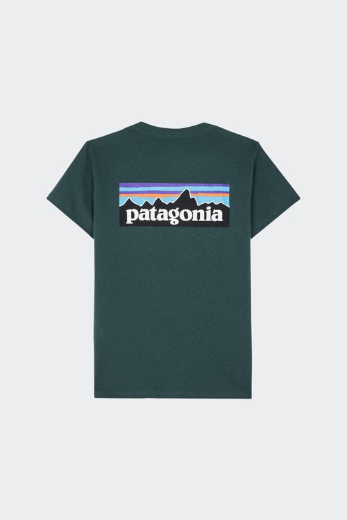 PATAGONIA T-shirt Vert