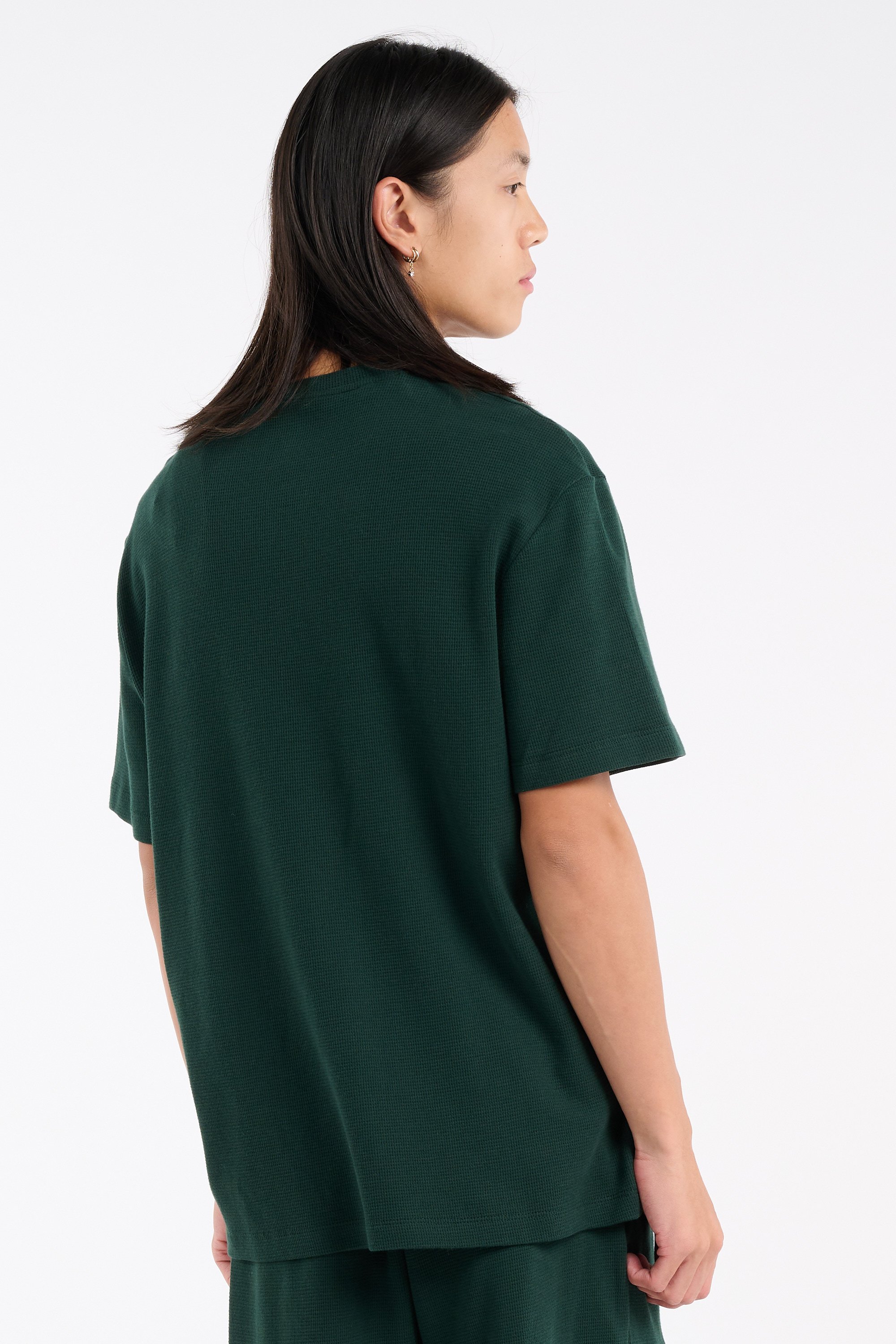 T-shirt | Vert LACOSTE Homme