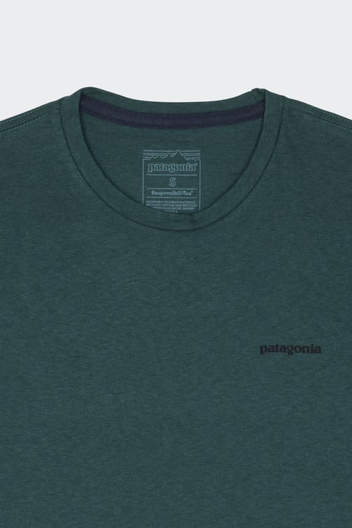 PATAGONIA T-shirt Vert