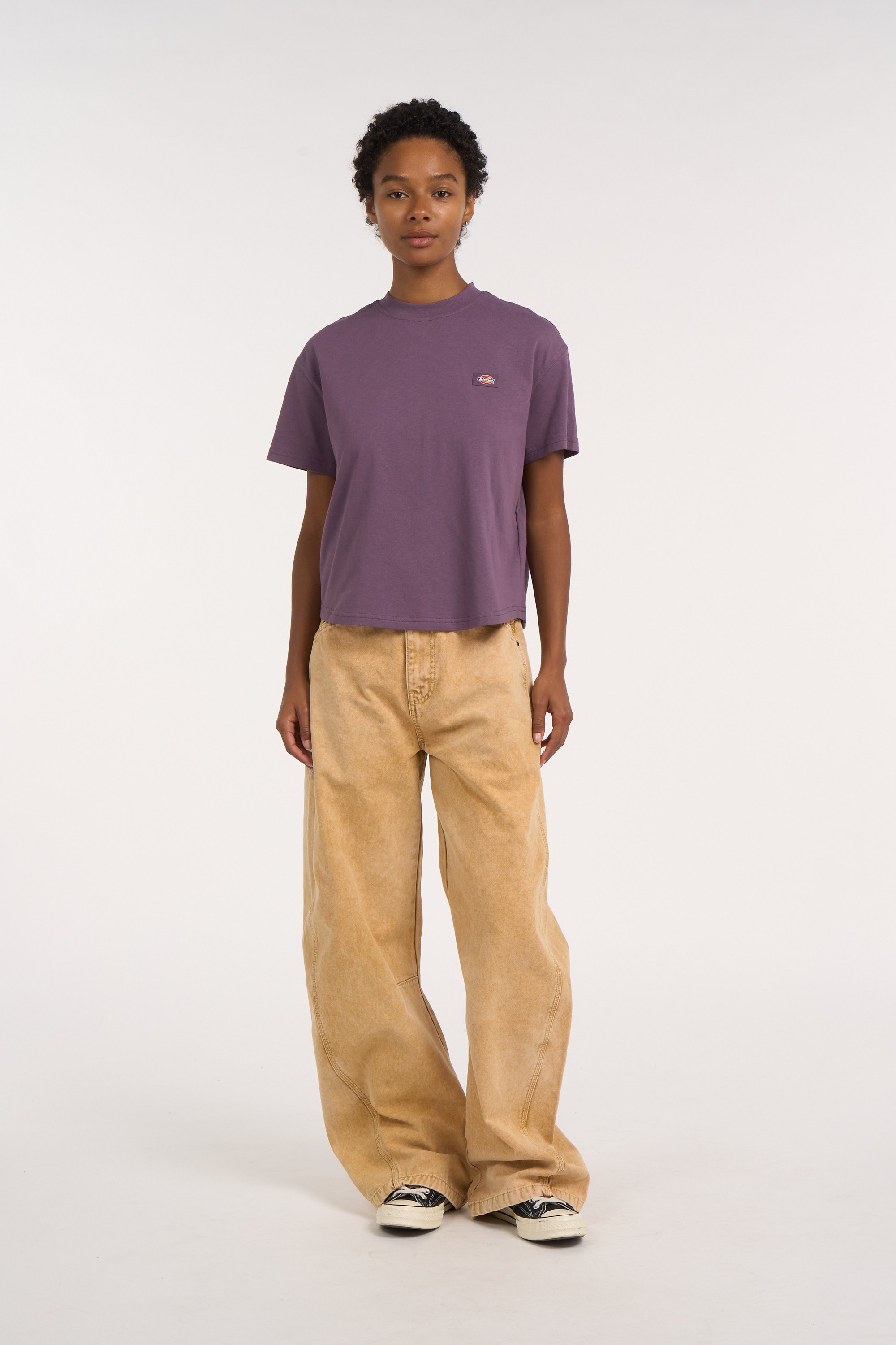 Regular-fit round-neck cotton T-shirt DICKIES Purple