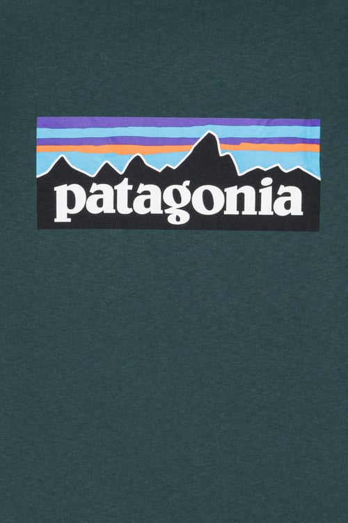 PATAGONIA T-shirt Vert