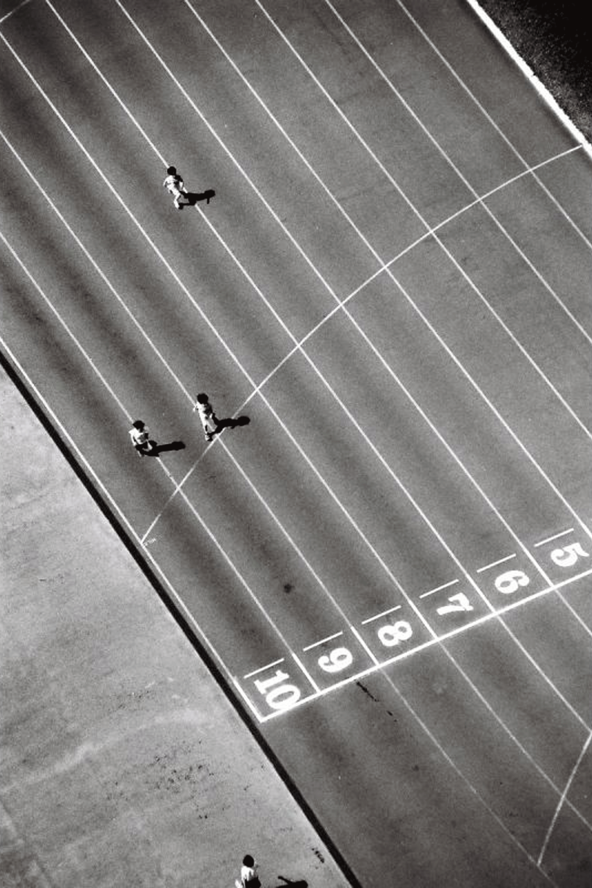 Pellicule argentique Multicolore