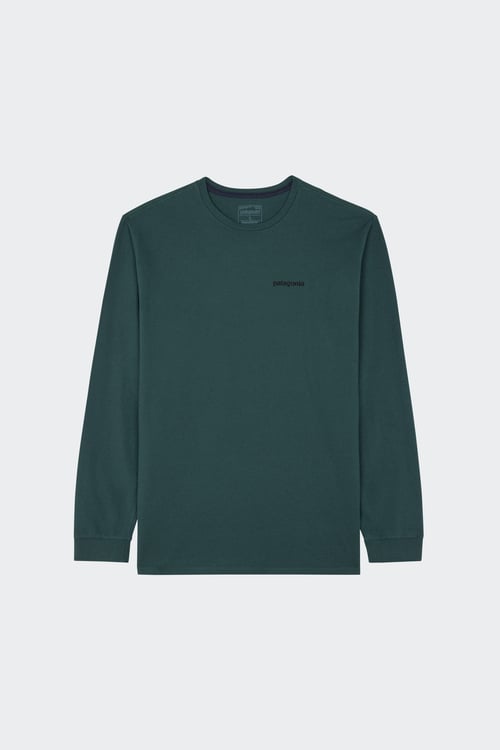 PATAGONIA T-shirt Vert