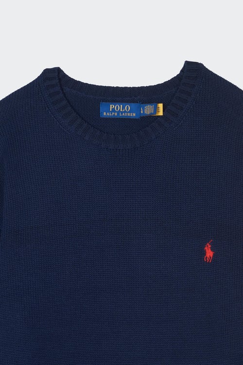 POLO RALPH LAUREN Sweater Blue