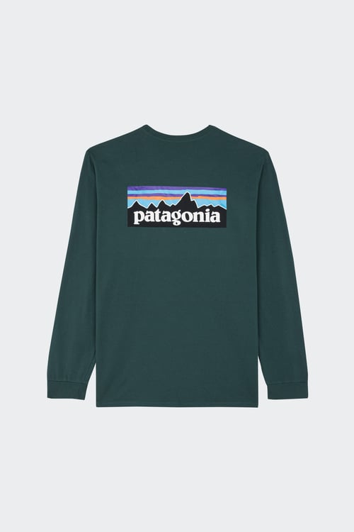 PATAGONIA T-shirt Vert