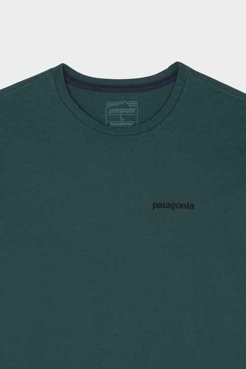 PATAGONIA T-shirt Vert