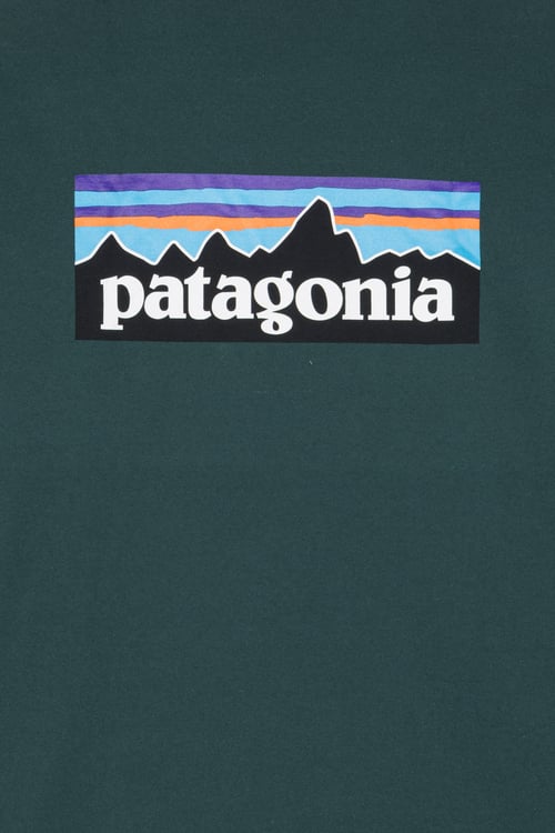 PATAGONIA T-shirt Vert