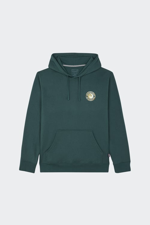PATAGONIA Hoodie Vert