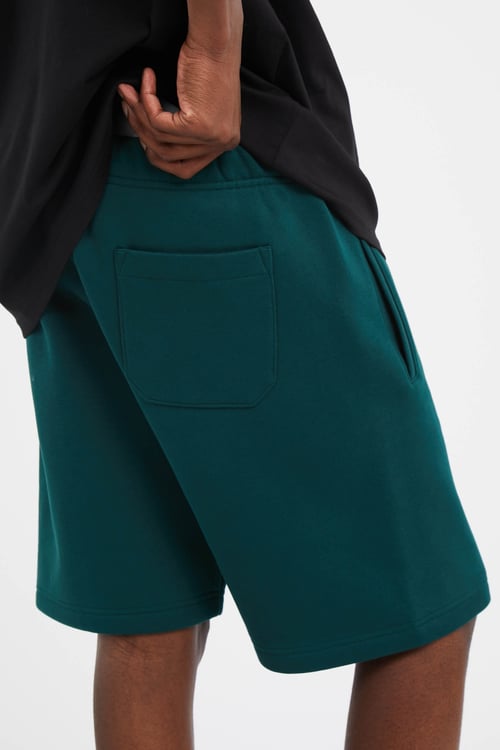 CARHARTT WIP Short  Vert