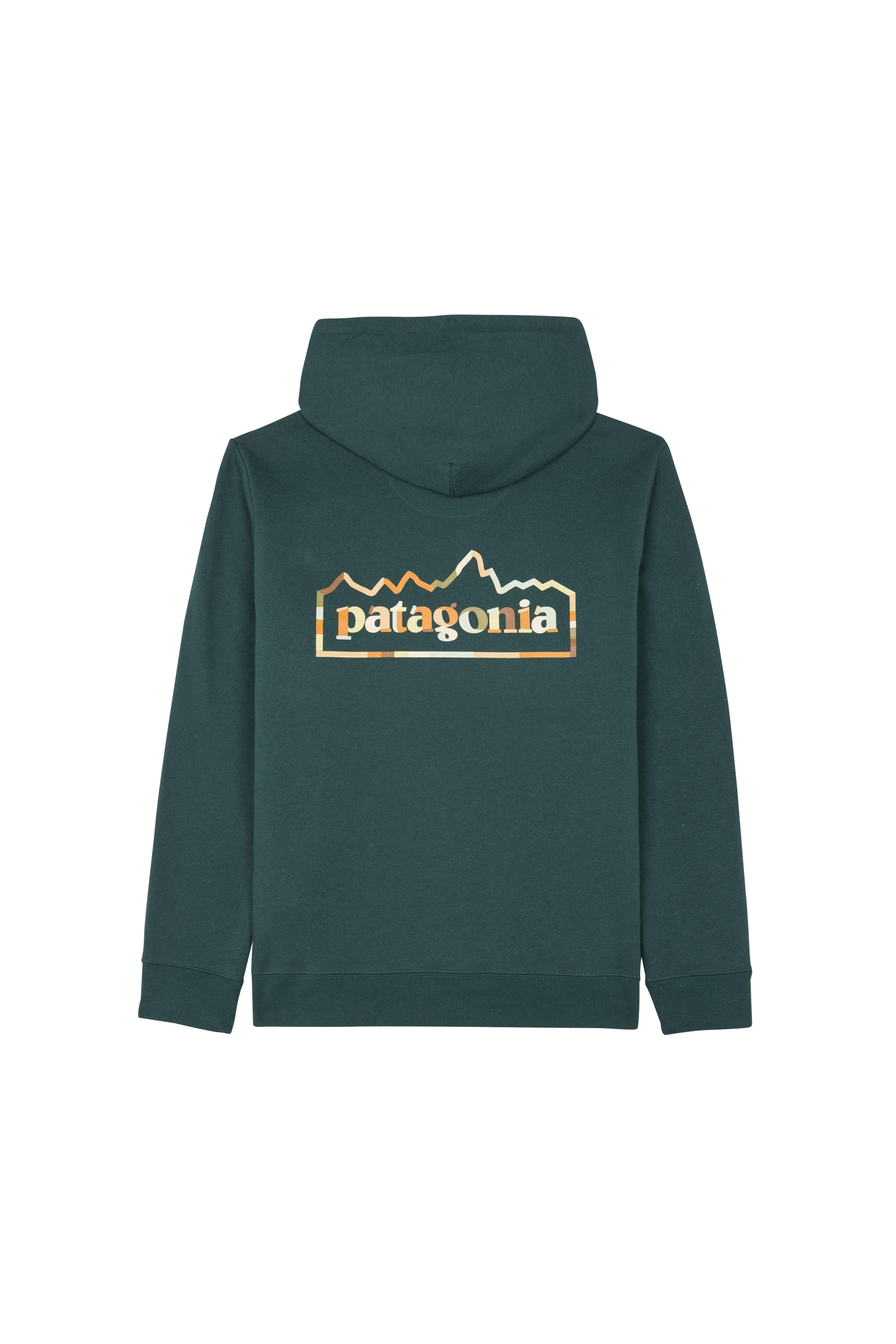 Hoodie PATAGONIA Green