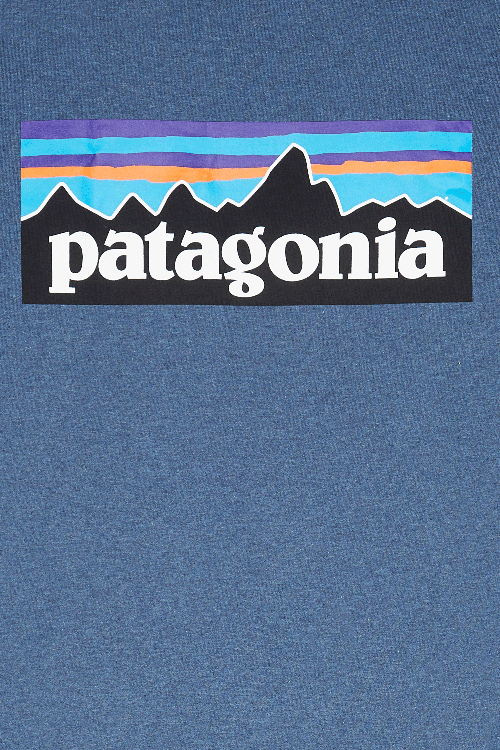 T-shirt | Blue PATAGONIA Men