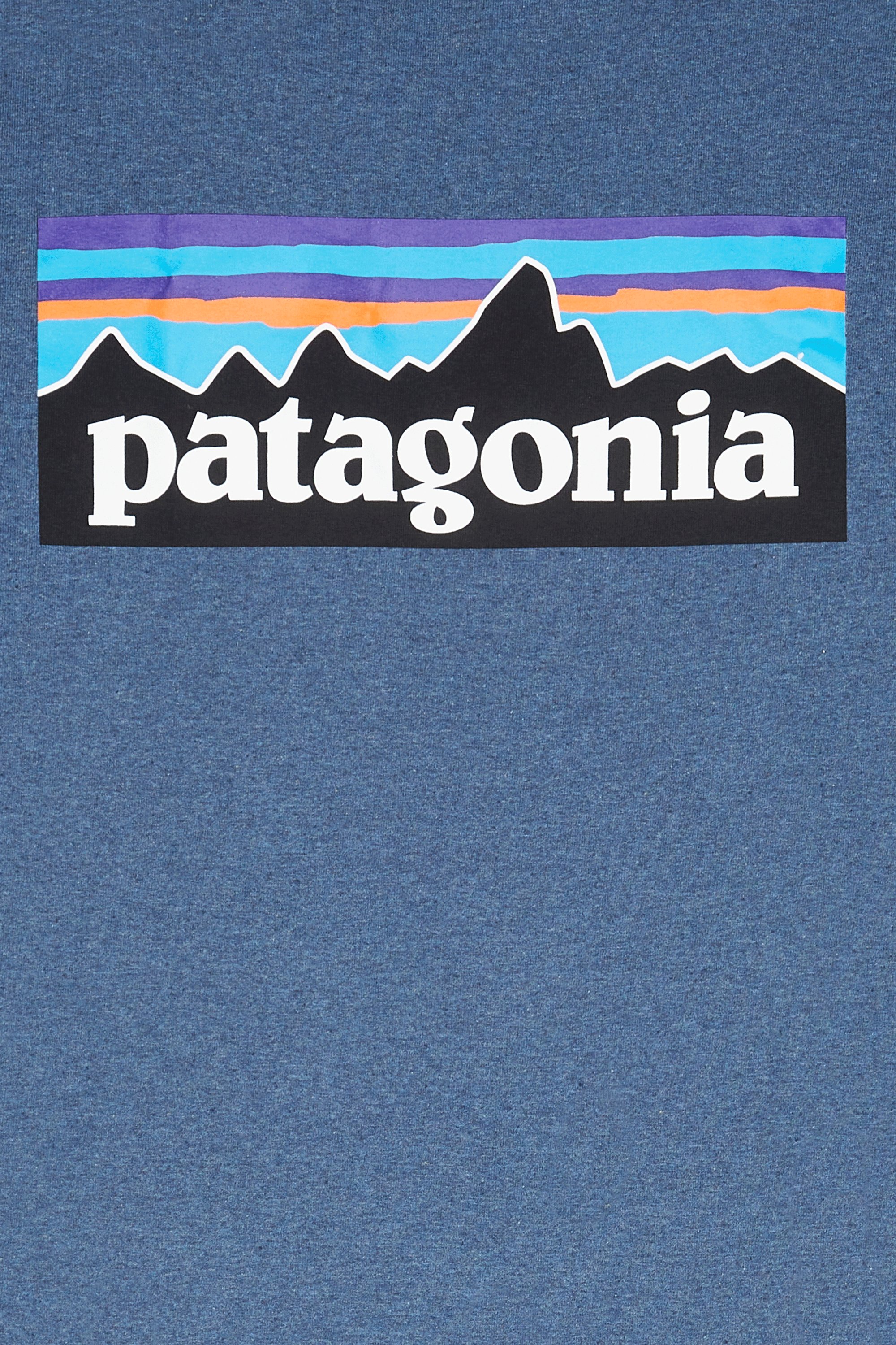 T-shirt | Blue by PATAGONIA T-shirt Blue