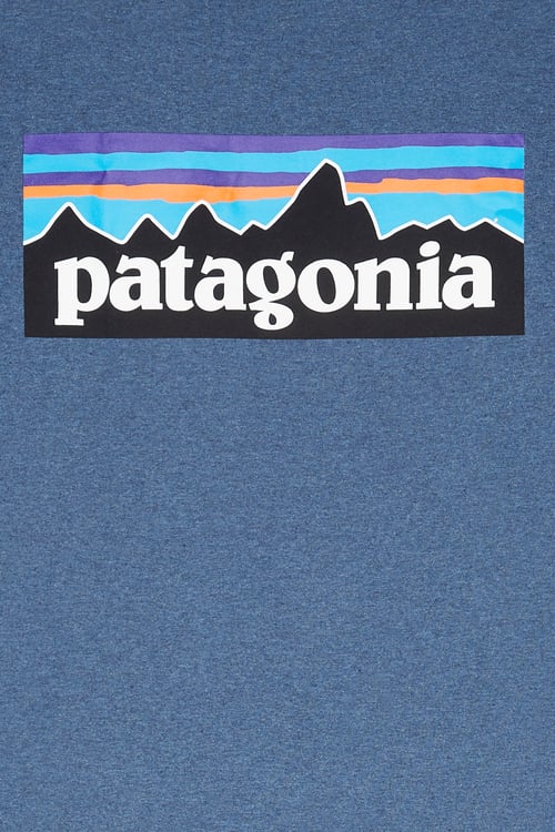 PATAGONIA T-shirt  Bleu