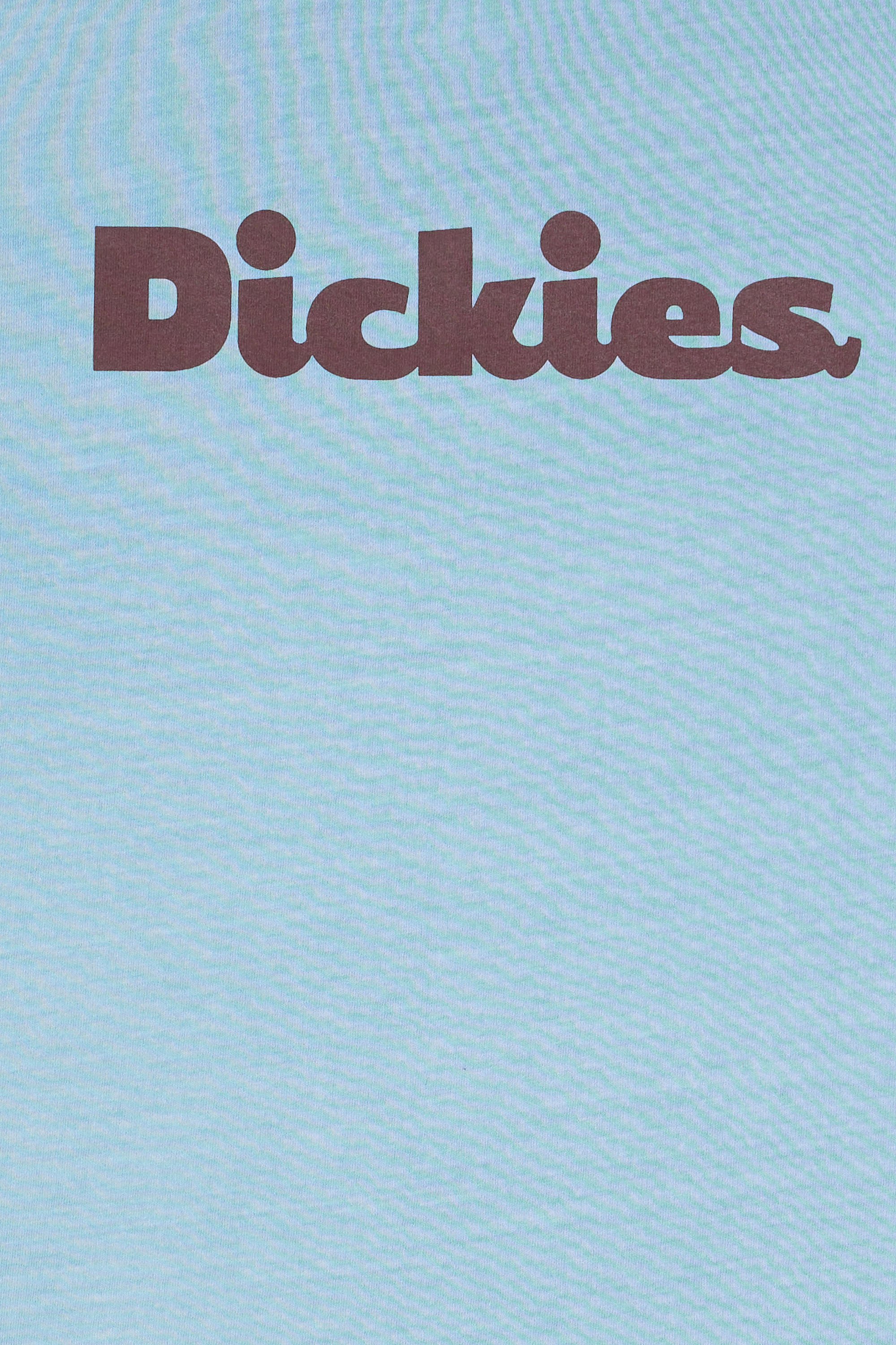 T-shirt | Bleu by DICKIES T-shirt Bleu