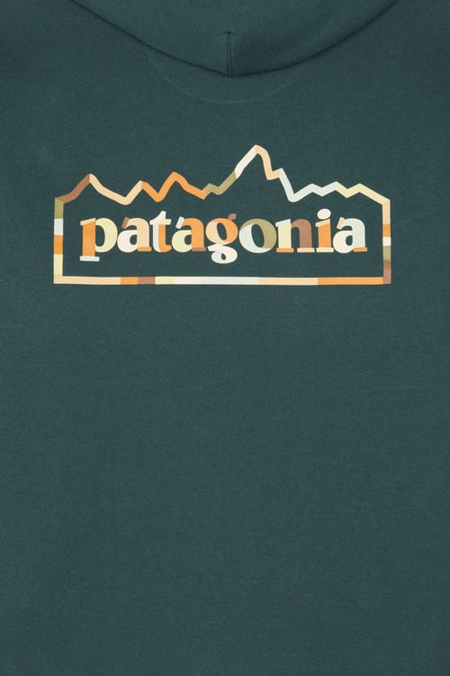 PATAGONIA Hoodie Vert